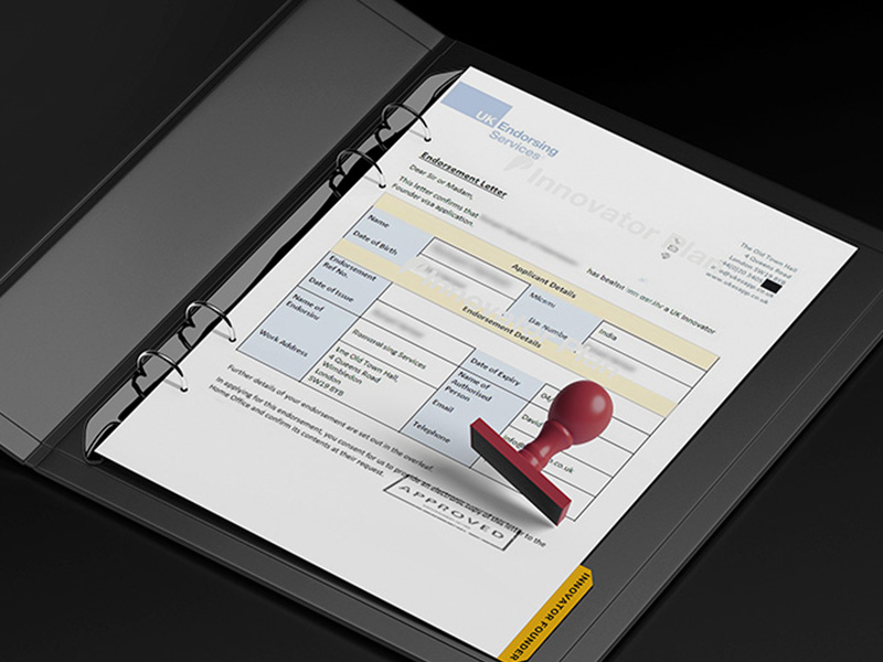 Grid of successful visa and residence cards
